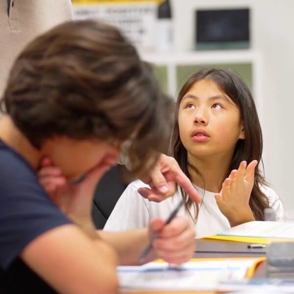 Working with Teacher