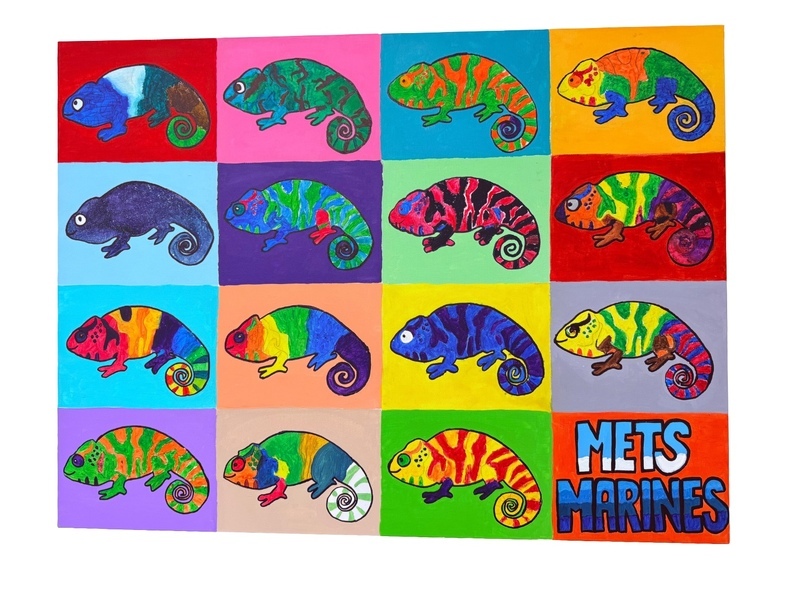 TCS Chameleons Artwork